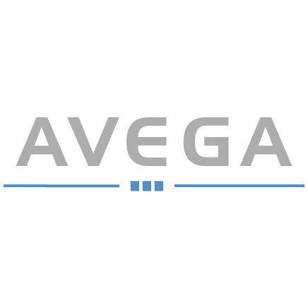 Junior Corporate Officer