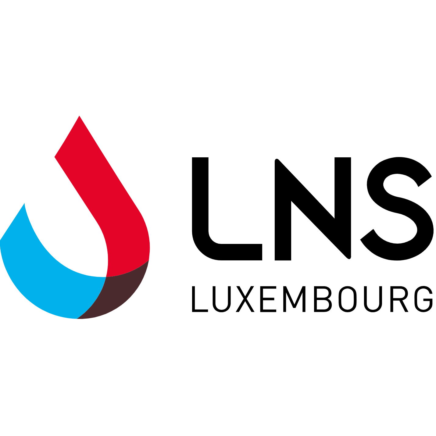 Data Protection Officer Assistant