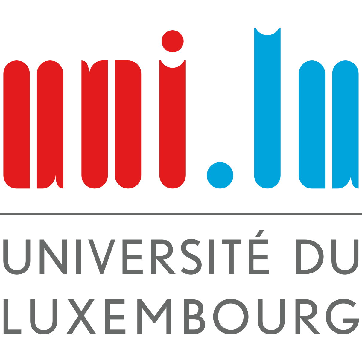 Doctoral Researcher in Tax Law
